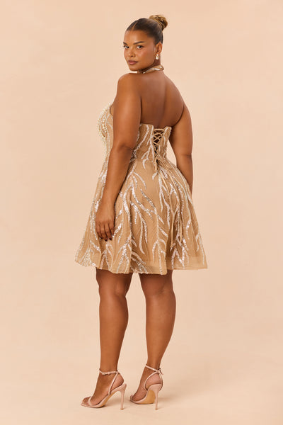 https://cdn.shopify.com/s/files/1/0293/9277/files/JY3934_Nude_PLUS_V4.jpg?v=1788732666&with=400&height=600