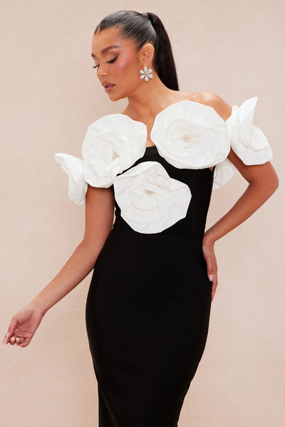 https://cdn.shopify.com/s/files/1/0293/9277/files/02-27-25_S5_45_AD9378_BlackWhite_ZSR_KJ_DO_15-21-44_9453_BH.jpg?v=1741044843&with=400&height=600