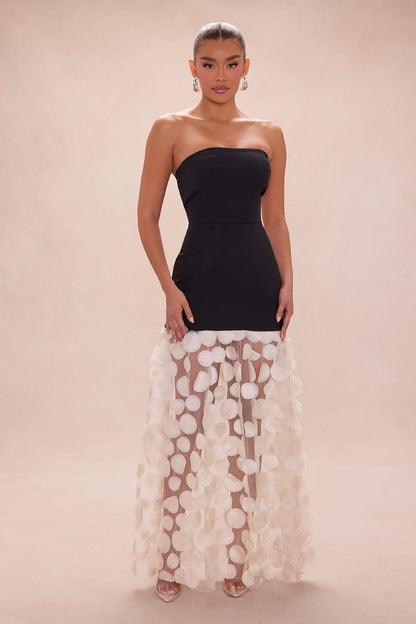 https://cdn.shopify.com/s/files/1/0293/9277/files/11-14-25_S5_29_LD11919_Black_AE_AC_12-47-52_16491_PXF.jpg?v=1763417746