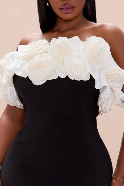 https://cdn.shopify.com/s/files/1/0293/9277/files/11-19-25_S5PM_72_BD12767_BlackWhite_ZSR_AE_AC_15-24-27_PLUS_24921_PXF.jpg?v=1764619563&with=400&height=600