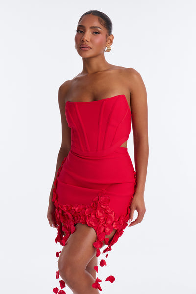 https://cdn.shopify.com/s/files/1/0293/9277/files/BD610_Red_JR_V2.jpg?v=1783537566&with=400&height=600
