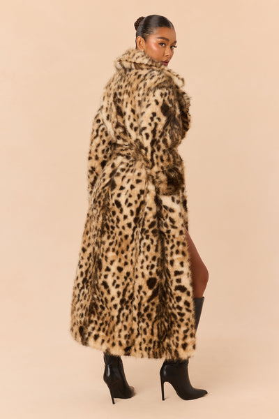 https://cdn.shopify.com/s/files/1/0293/9277/files/C126CT2201_Leopard_JR_V4.jpg?v=1789578756&with=400&height=600