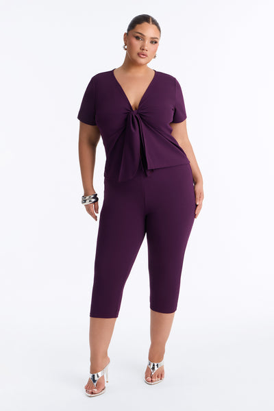 https://cdn.shopify.com/s/files/1/0293/9277/files/CTST14099_Eggplant_PLUS_V1.jpg?v=1785873872&with=400&height=600