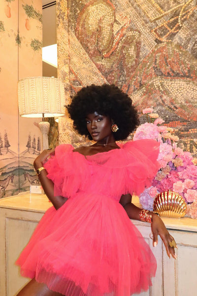 https://cdn.shopify.com/s/files/1/0293/9277/files/Delaney_Tulle_Mini_Dress_Pink_096_JR.jpg?v=1757949795&with=400&height=600