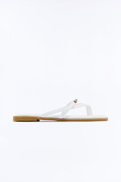 https://cdn.shopify.com/s/files/1/0293/9277/files/NEWFOCUS_White_SL_V3.jpg?v=1782770192&with=400&height=600