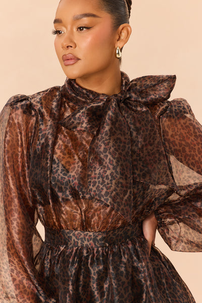 https://cdn.shopify.com/s/files/1/0293/9277/files/SD392924FN_Leopard_JR_V3.jpg?v=1789578743&with=400&height=600