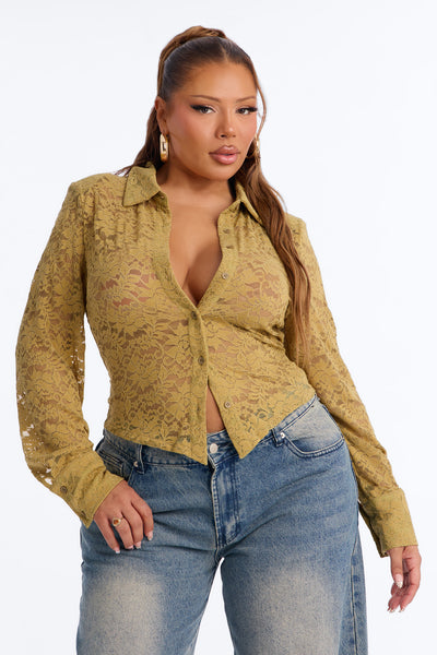 https://cdn.shopify.com/s/files/1/0293/9277/files/TI12651_Olive_PLUS_V2.jpg?v=1782939593&with=400&height=600