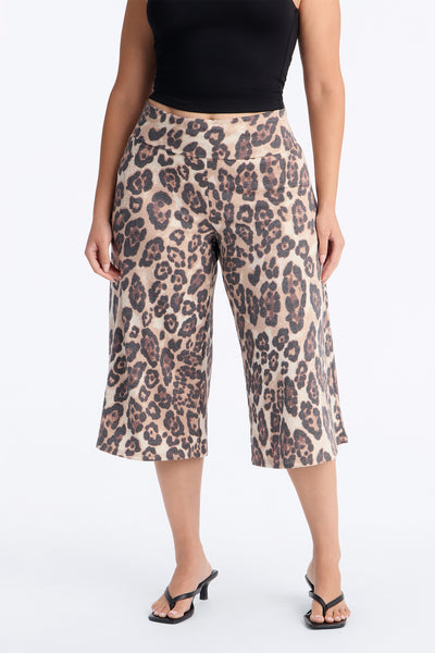 https://cdn.shopify.com/s/files/1/0293/9277/files/TP2444NLFT_Leopard_PLUS_V2.jpg?v=1786027765&with=400&height=600
