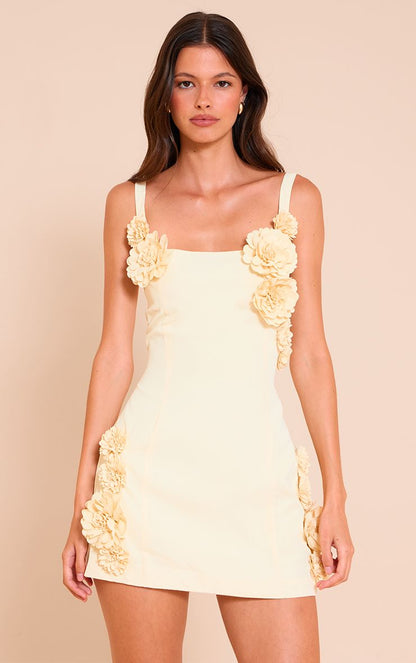 https://mediahub.prettylittlething.com/cnn1727_lemon_xl