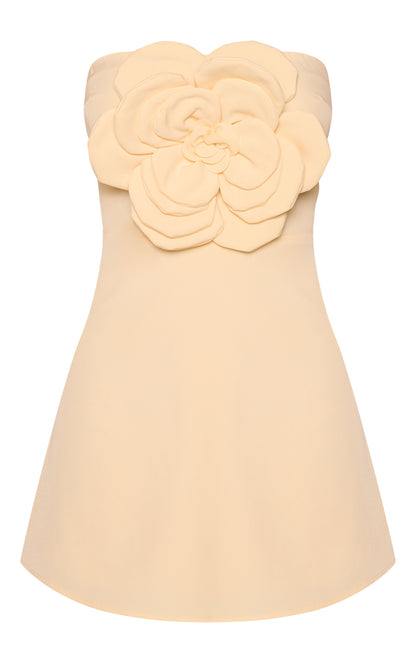 https://mediahub.prettylittlething.com/cnp5137_lemon_xl_4