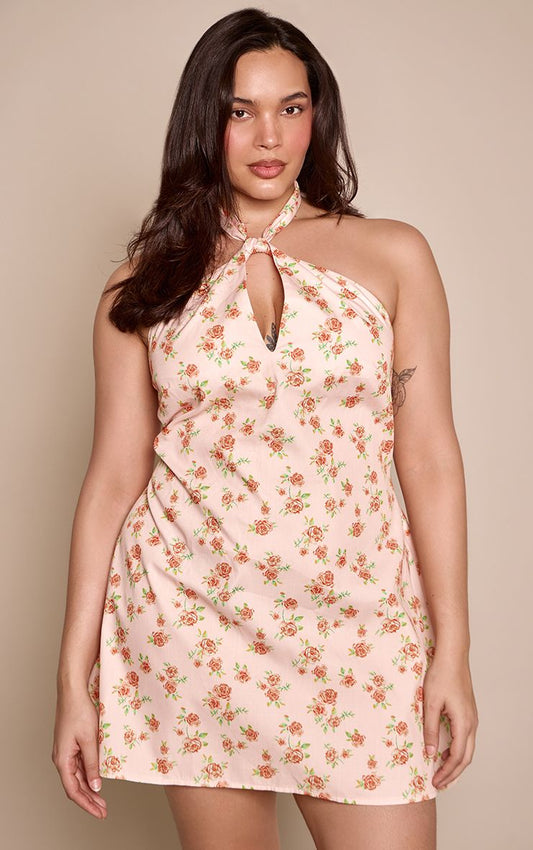 https://mediahub.prettylittlething.com/cnp8581_orange_xl