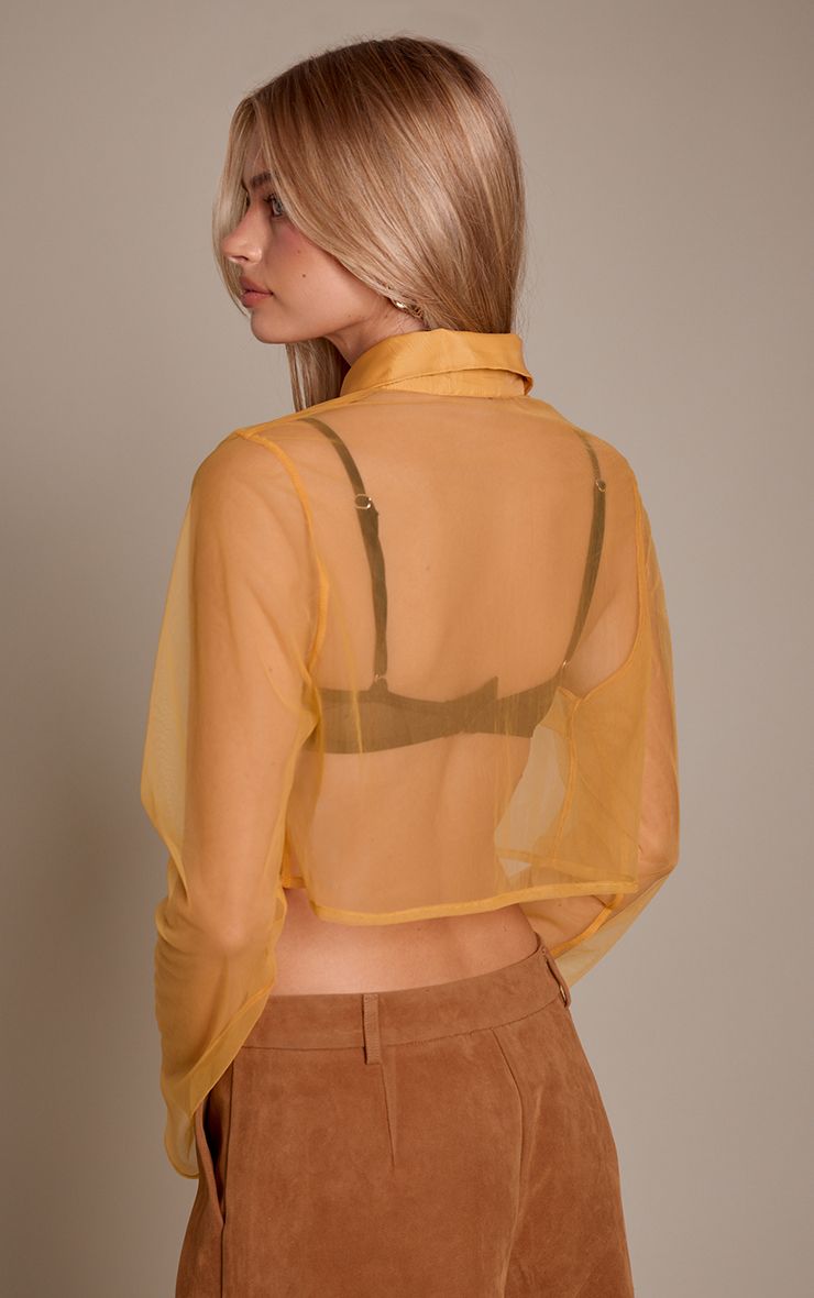 https://mediahub.prettylittlething.com/cnr1986_amber_xl_1